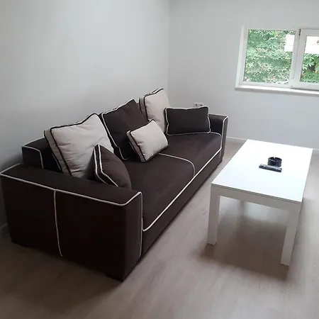 Shishkova 3 Apartment
